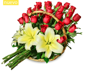 Canasta de Rosas Acostadas