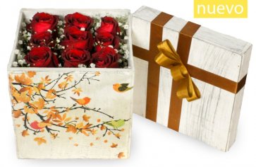 Caja de 9 Rosas