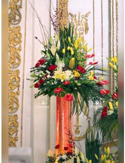 Columna de Burbujas de Una Sola Vista