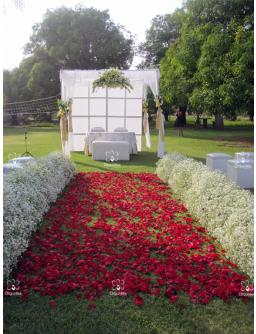 Jardinera de exofilia 